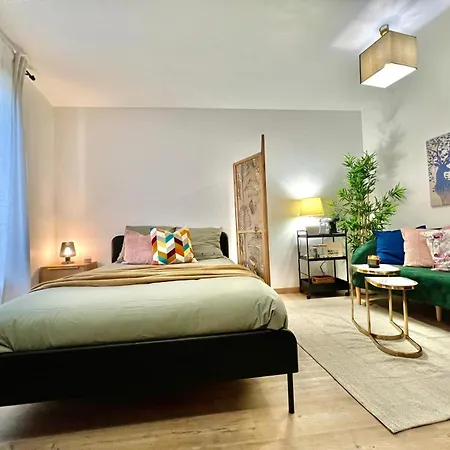 Apartamento Avec Parking Prive Et Lave-linge, Coeur De *