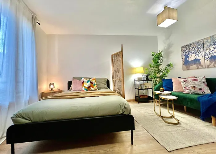 Apartament Avec Parking Prive Et Lave-linge, Coeur De *