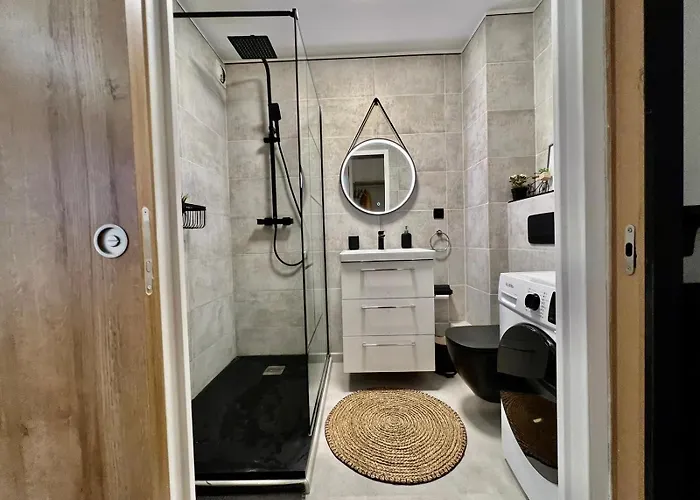 Apartament Avec Parking Prive Et Lave-linge, Coeur De